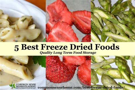 5 Best Freeze Dried Foods - Quality Long Term Food Storage