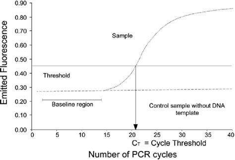 Phases Of Pcr