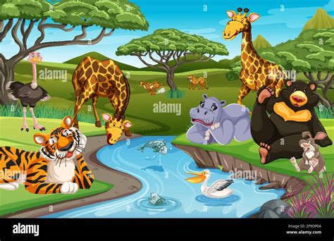 Wild animals in the jungle illustration Stock Vector Image & Art - Alamy