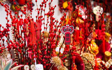 14 Chinese New Year Flowers/Fruits to Bring You Luck in 2025