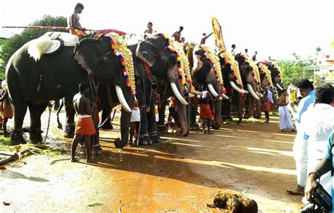 Thrikkakara Vamana Moorthy Temple Timings - Vamana Avatar History