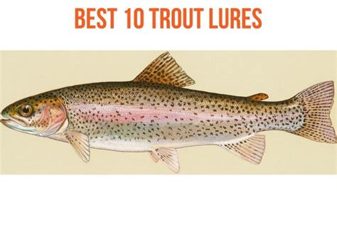 The Best 10 Trout Lures for Rainbow, Brown, Brook and Bull Trout in ...