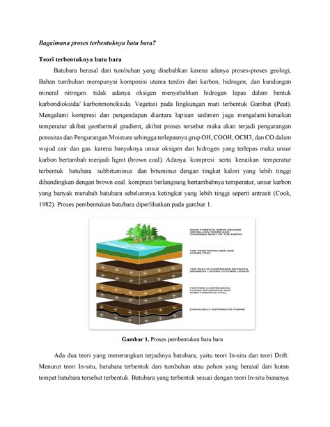 Proses Terbentuknya Batu Bara - Sistem Utilitas - UR - Studocu