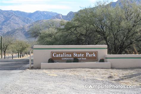 Catalina State Park - Campsite Photos, Camping Info & Reservations