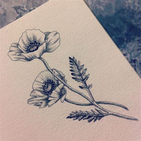 Black poppy tattoo, Poppies tattoo, California poppy tattoo