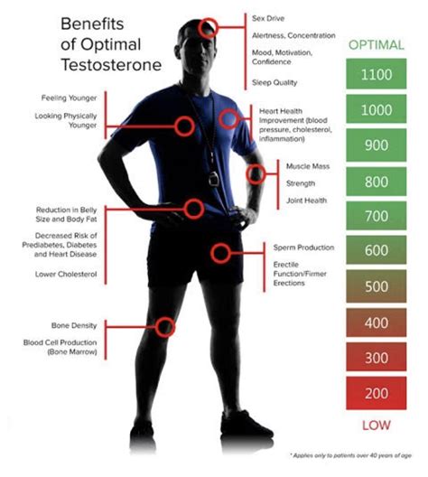 Some optimal testosterone level benefits : r/Testosterone