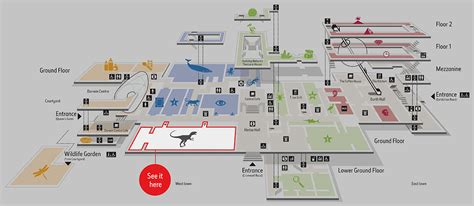 American Museum Of Natural History New York Floor Plan | Viewfloor.co