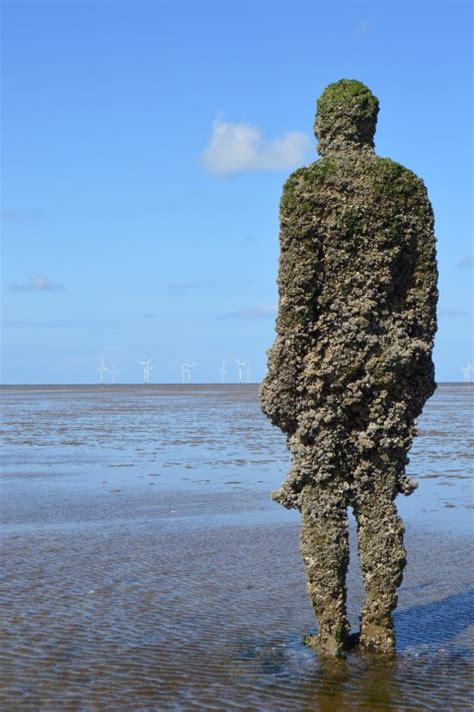 Iron Man - Antony Gormley - Crosby Beach - Rear aspect - SCULPTURE SCRIPT