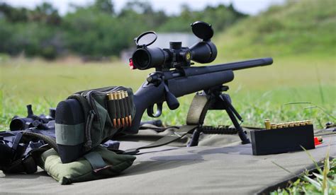 Remington 783 vs 700: In-Depth Review and Comparison Guide