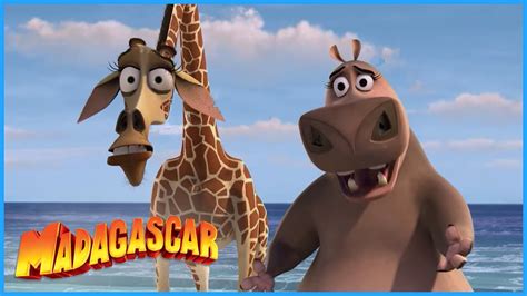 DreamWorks Madagascar | Look it's Gloria!! | Madagascar Movie ...