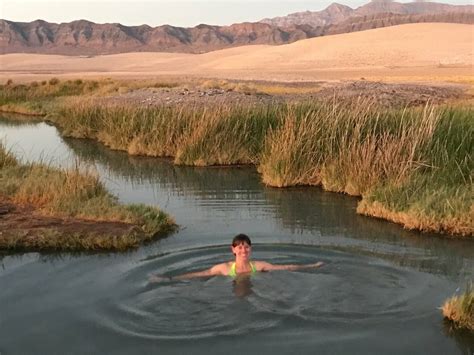 Tecopa Hot Springs - The Muddy, The Free And The Paid | Traxplorio