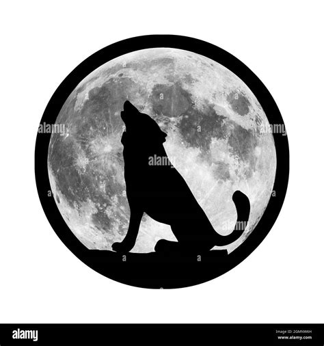 Wolf Howling At The Moon Black And White