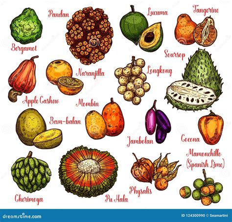 Names of Exotic Fruits and Vegetables Find local farmers farmersme