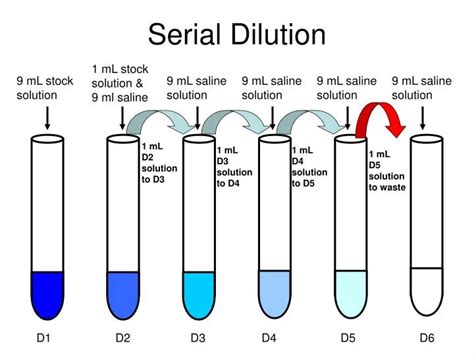 PPT - Serial Dilution PowerPoint Presentation, free download - ID:3119682