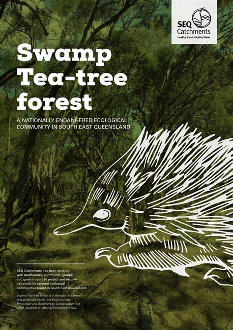 Swamp Tea-tree Forest by Healthy Land and Water - Issuu