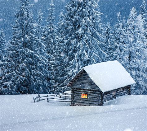 Winter Hut, fir tree, house, hut, snow, winter, HD wallpaper | Peakpx