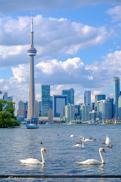 White Swam CN Tower Skyline Centre Island Toronto Ontario Canada | HDR ...