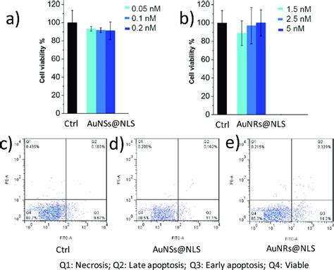 Au nanoparticles cytotoxicity measurements and cellular uptake. (a ...