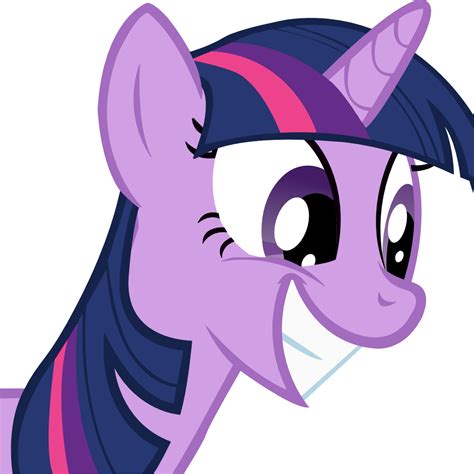 Twilight Sparkle | Know Your Meme