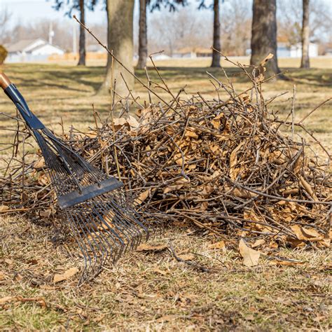 Here's What You Need To Do To Get Your Yard Ready For Fall - Emerald Island