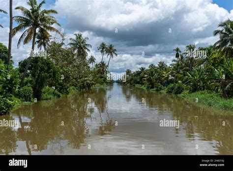 Coconut Lagoon, Kerala backwaters, India Stock Photo - Alamy