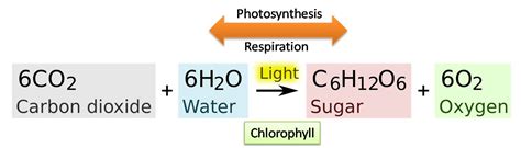 Photosynthesis Formula