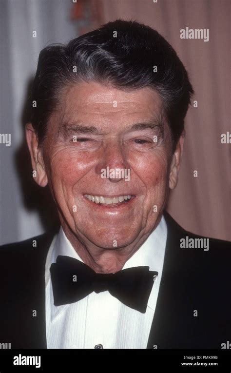 Ronald Reagan 1991 Photo By Adam Scull/PHOTOlink/MediaPunch Stock Photo ...