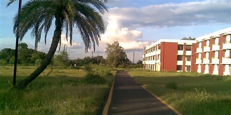 MANIT Bhopal to fence gaps in boundary walls after two tigers enter campus