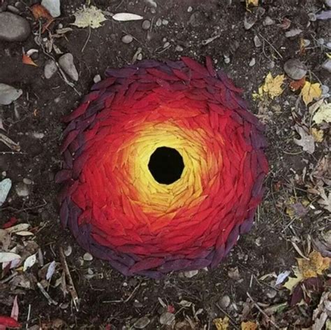 Pin by Canchita Lp on Arte | Andy goldsworthy, Land art, Ephemeral art