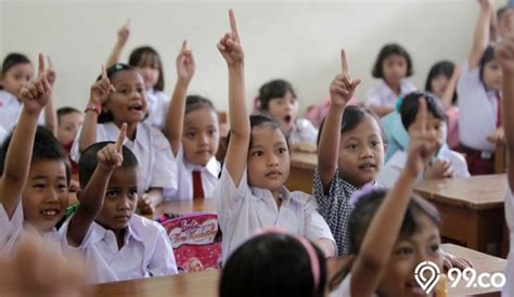 11 Hak dan Kewajiban Anak di Sekolah. Wajib Diketahui dan Ditaati ...