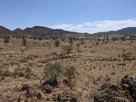 Deserts and xeric shrublands – Australian Acoustic Observatory | A20