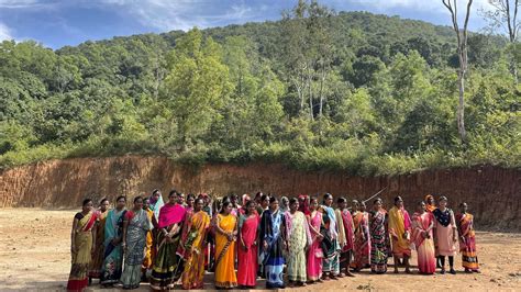 Women in Odisha village revive barren jungle by changing cooking habits ...