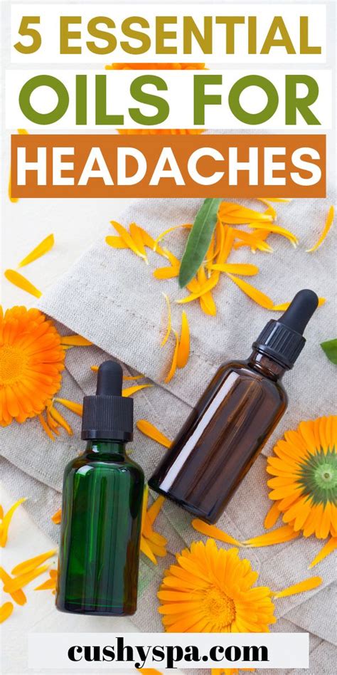 5 Essential Oils for Headaches in 2020 | Essential oils for headaches ...