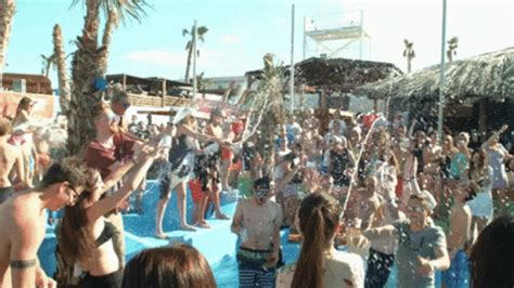 Vegas Pool Party GIFs | Tenor