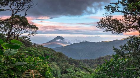 Bing HD Wallpaper May 22, 2023: International Day for Biodiversity ...