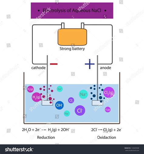 Electrolysis Aqueous Nacl: vector de stock (libre de regalías) 154945508