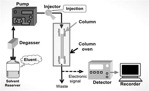 Hplc Full Form In Chromatography Online Cheap | www.gbu-presnenskij.ru