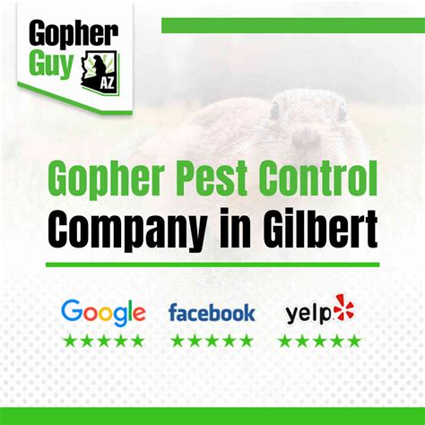 Gopher Pest Control Company And Removal Services In Gilbert