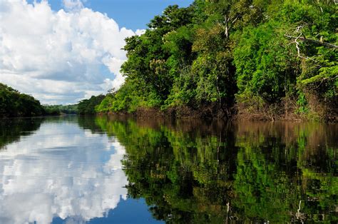 Exploring the Jungle: What to Expect on an Amazon River Cruise (with ...