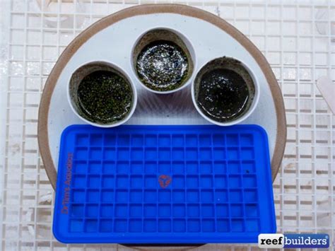 Making frozen fish food cubes, using Dr.Tim’s Aquatics Bene-FISH-al ...