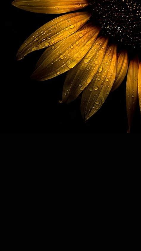 271 Wallpaper Aesthetic Yellow And Black Pictures - MyWeb