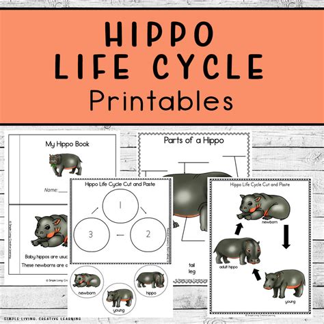 Hippo Life Cycle Printables - Simple Living. Creative Learning