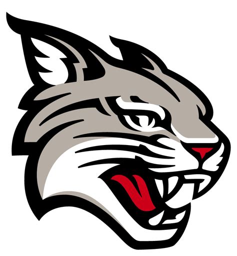 Davidson Wildcats Logo - Primary Logo - NCAA Division I (d-h) (NCAA d-h ...