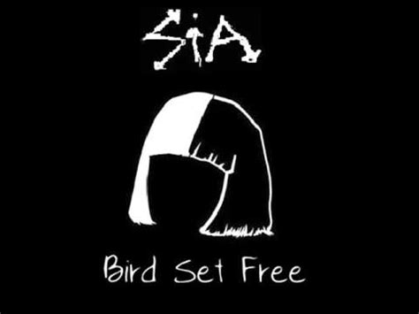 Bird Set Free Sia Audio - YouTube