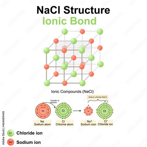 Sodium Chloride Nacl Molecular Structure Stock Vector Art | Hot Sex Picture