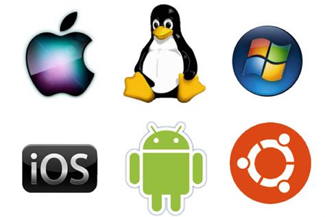 8 Different Types of Operating Systems With Examples - My Update Web