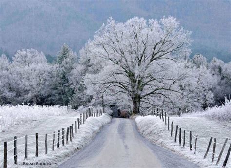 Winter Road Trip | Smoky mountain national park, Great smoky mountains ...