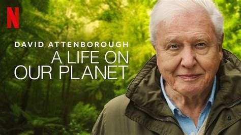 Netflix’s David Attenborough: A Life on Our Planet Review: A Heart ...