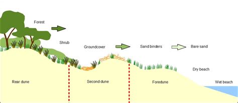 Zonation & vegetation • Coastal Monitoring Database