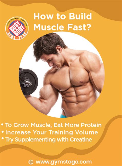 How to Build Muscle Fast? - South Florida Fitness Equipment Provider